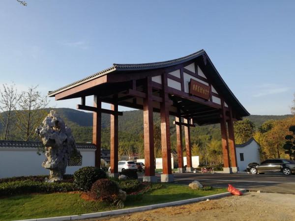 走讀山水長興 | 金秋時節銀杏黃 十里長廊人兒鬧（上）