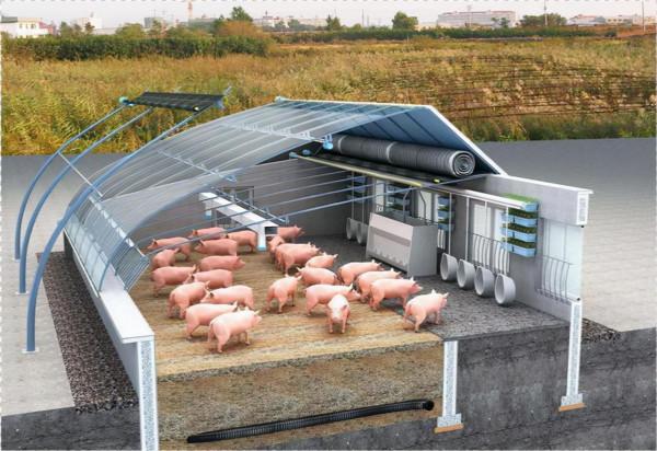 小夥建“高大上”五位一體全能大棚，種菜養豬零排放，猜掙多少錢