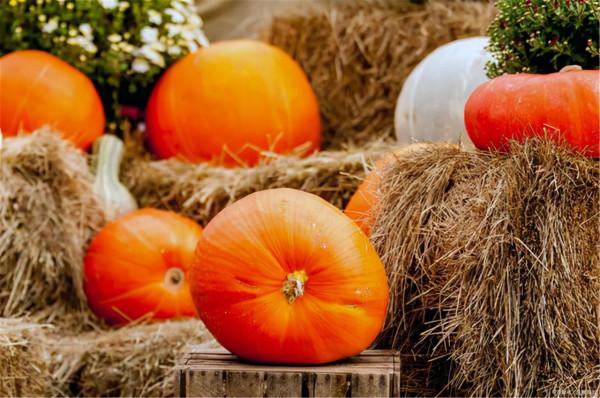 保護胃部,少碰三種“水果”,多吃四種“蔬菜”,你愛吃嗎? 保護胃部,少碰三種“水果”,多吃四種“蔬菜”,你愛吃嗎?