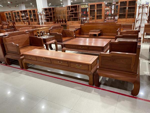 大眾情人—《大果紫檀》 大眾情人—《大果紫檀》