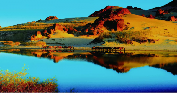 中國古今十之最,長見識了! 中國古今十之最,長見識了!