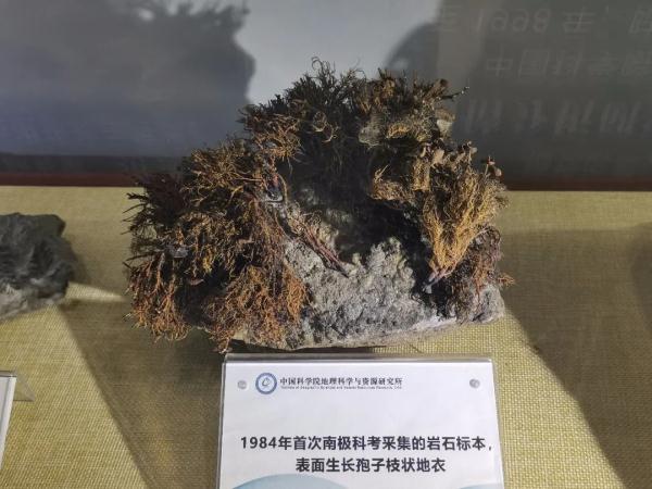 這塊石頭,承載了中國首次南極科考的記憶 這塊石頭,承載了中國首次南極科考的記憶