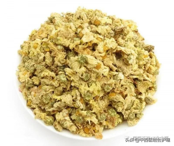 「養生有道」春季一杯代茶飲 幫您疏肝宣肺調通五臟