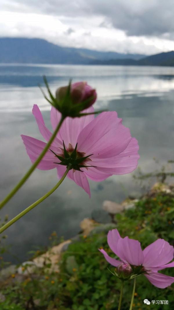 晚間悅讀 | 運動也要“適可而止”，8個訊號提醒你鍛鍊過度了