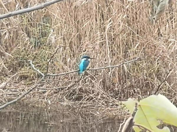 冬天的貴州景區：天河潭