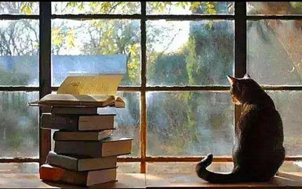 泰國34歲女子，因沒接到粉刷通知，在21層怒割高空作業油漆工繩索