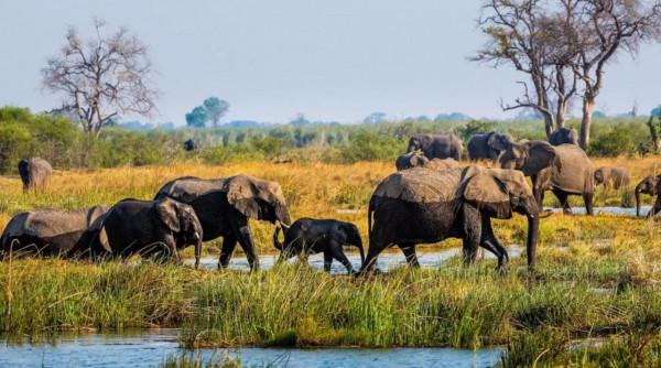 2022 年的 25 條精彩旅程(一) 2022 年的 25 條精彩旅程(一)