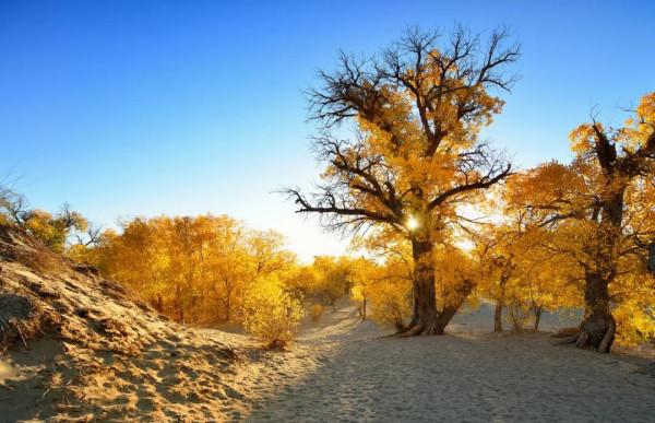 2022年最全旅行清單出爐：欠自己的旅行該還了