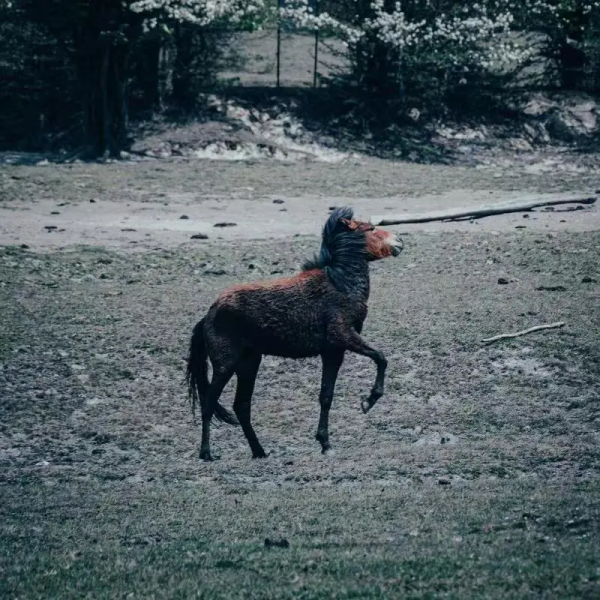 騰衝和順丨邊陲小江南，一抹邊陲絕色