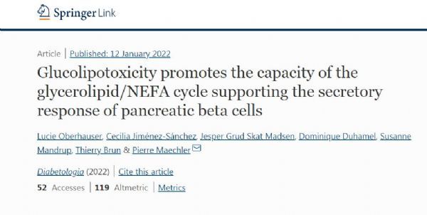 脂肪在2型糖尿病的發病過程中或會帶來意想不到的好處