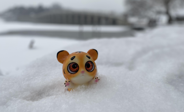 紅燈映白雪，秒變&OpenCurlyDoubleQuote;雪容融&rdquo;！京城公園已吸引7萬人次打卡