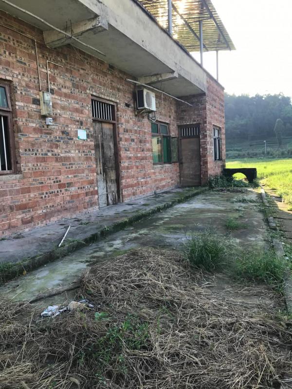 命中註定事情改不了