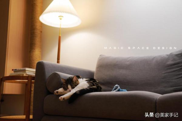 她家與豪華不沾邊，可滿屋子的溫馨感卻藏不住，網友：挑不出毛病