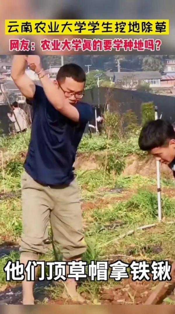 農業大學有多神奇?你可能一無所知…… 農業大學有多神奇?你可能一無所知……