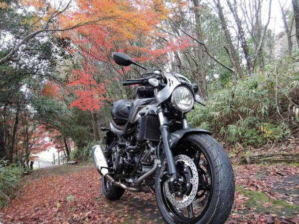 中排量摩托車街車款人氣排行榜！看看你喜歡的上榜了嗎？