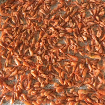 寶寶輔食—蝦皮粉 天然調味品補鈣小能手 寶寶輔食—蝦皮粉 天然調味品補鈣小能手