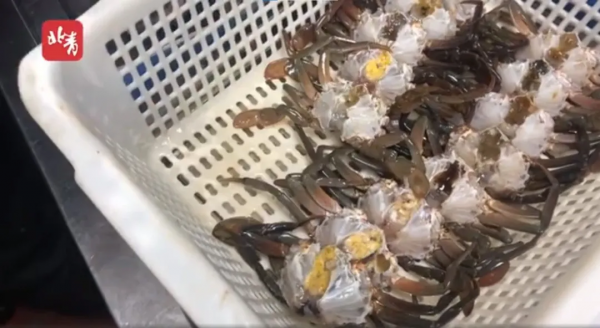 有多少過期肉，被你買回家了？