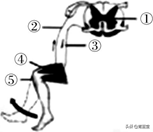 2021廣東中考生物試題