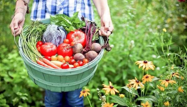 金融街古泉皇冠假日酒店開業在即，一文讀懂親子度假新攻略