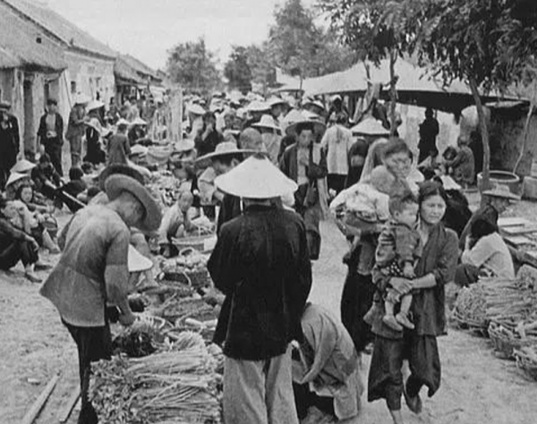 楊雅琴：拍《苦菜花》成名，期待真愛卻被愛所傷，過早離世惹人憐