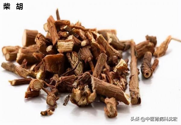 肝氣犯胃,常口苦?給你一劑柴胡湯,助你清肝火、降胃氣、祛口苦 肝氣犯胃,常口苦?給你一劑柴胡湯,助你清肝火、降胃氣、祛口苦