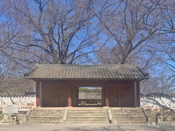 我的朝鮮行(終) 我的朝鮮行(終)