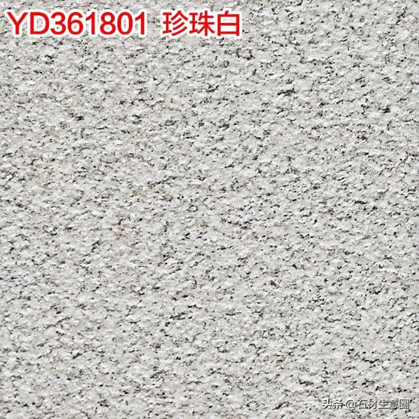 生態地鋪石欣賞