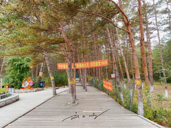 吉林省延吉市有一處免費4A級旅遊景區,遊客:這不就是個大公園? 吉林省延吉市有一處免費4A級旅遊景區,遊客:這不就是個大公園?