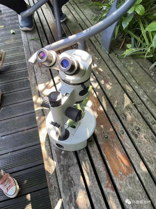 令人驚奇的葉沿——讓孩子學會使用常用工具系列