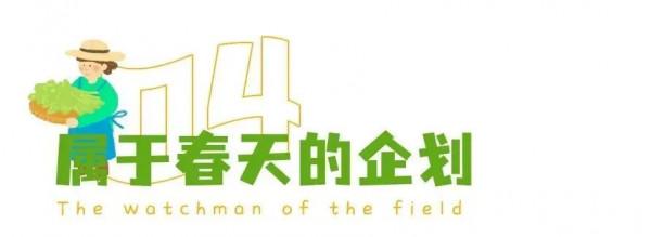 自在寧國丨賞春景、踏青趣，ALPS森林小鎮陪你玩轉整個春天！