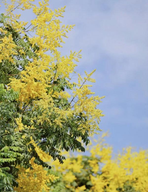 一到換季就爛臉？趕緊收好這份換季“救臉”指南