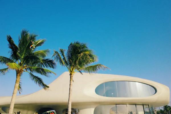 在這裡我毫不焦慮，還實現了水果自由