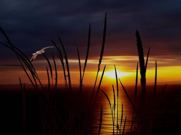 海洋的景色，真美