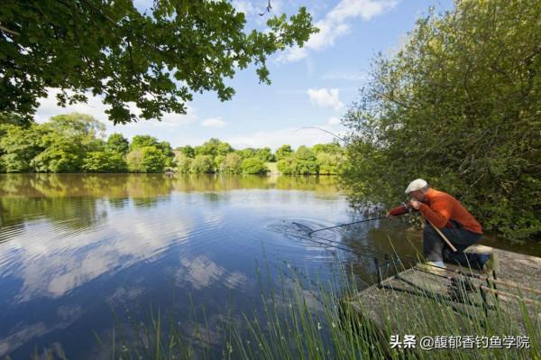 麝香酒和麝香米的釣魚效果如何?麝香的釣魚效果分析 麝香酒和麝香米的釣魚效果如何?麝香的釣魚效果分析
