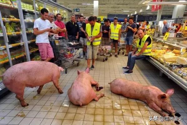 關於法國,瞭解多少? 關於法國,瞭解多少?