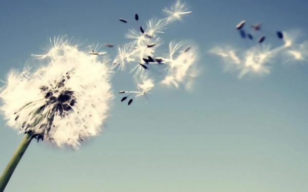 上課害怕被老師點名的小女孩長大了…… 上課害怕被老師點名的小女孩長大了……