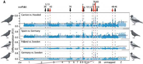 本·克萊爾:“物種”從哪來? 本·克萊爾:“物種”從哪來?