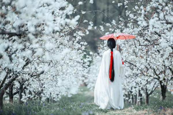 你是什麼格局，就是什麼命