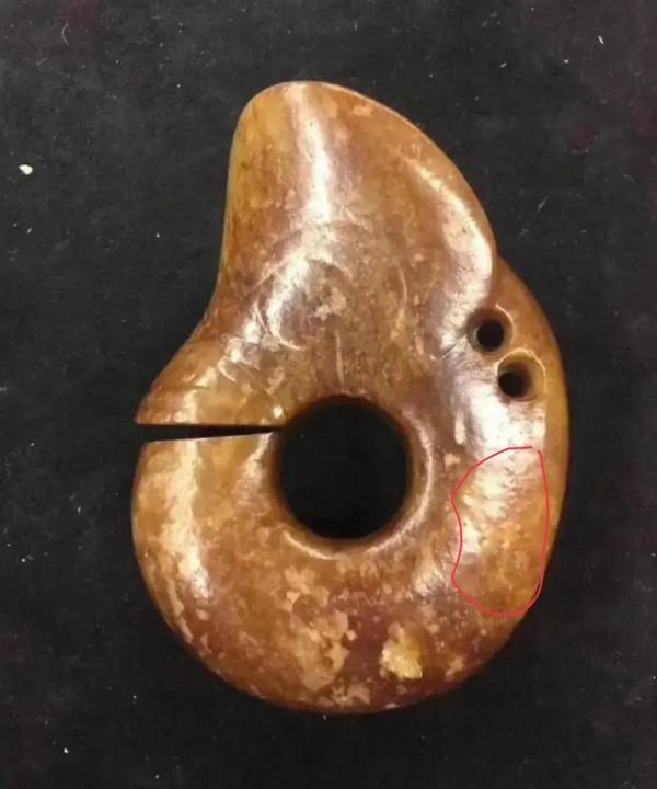 班門弄斧說豬龍