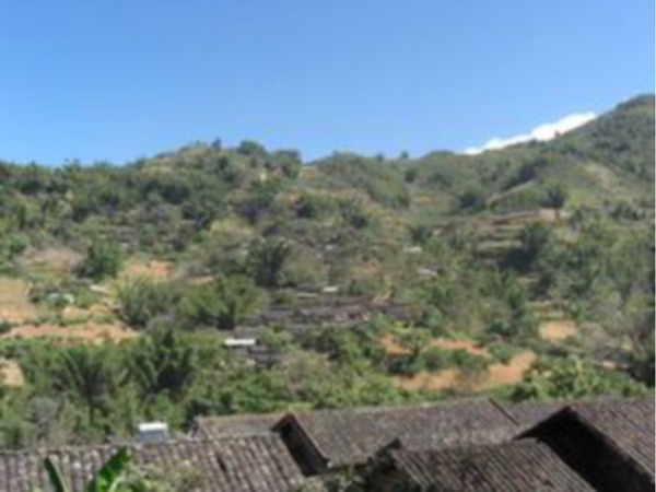 5年前，雲南一村民上山採藥，結果發現：多具軍人遺骸裝在油桶裡