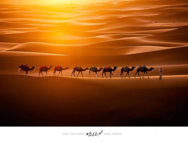 99個難得一見的照片，一塊下雨的雲，飛翔的虎鯨，維多利亞風服裝