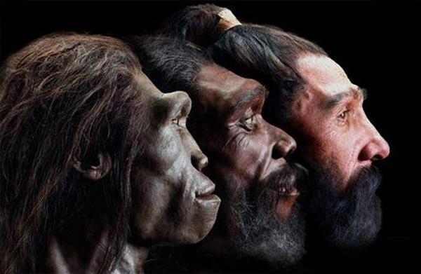 科學家又發現一個人體新的部位，事實證明：人類確實仍在進化