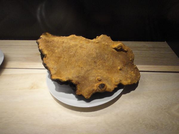 桑黃是怎麼形成的?被稱為“森林黃金”的桑黃,值不值千元一斤? 桑黃是怎麼形成的?被稱為“森林黃金”的桑黃,值不值千元一斤?