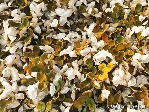 收藏新會陳皮的三大問題,給你一一擊破 收藏新會陳皮的三大問題,給你一一擊破