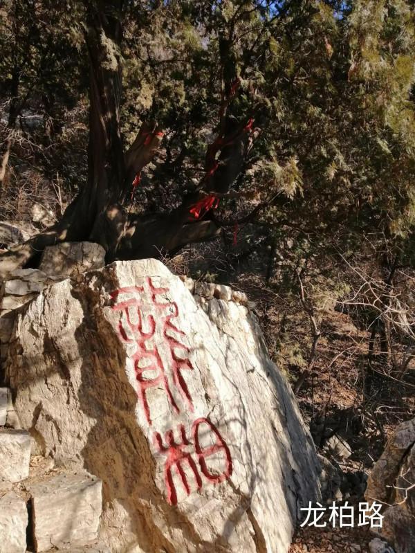 &dollar;&period;006&period;頂遊五峰山