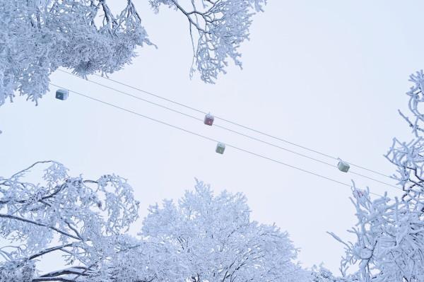 推薦8個國內適合12月旅行的目的地，再給自己安排一場旅行吧