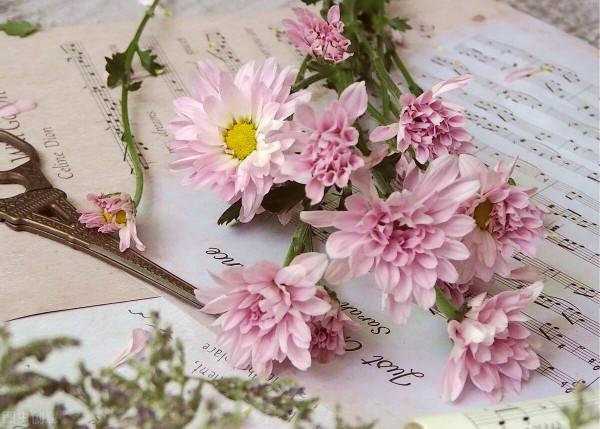 原來，這就是“穿針心理”