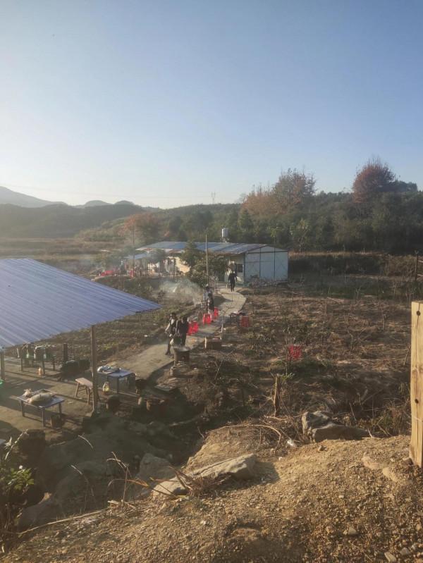 暖冬週末哪裡去？