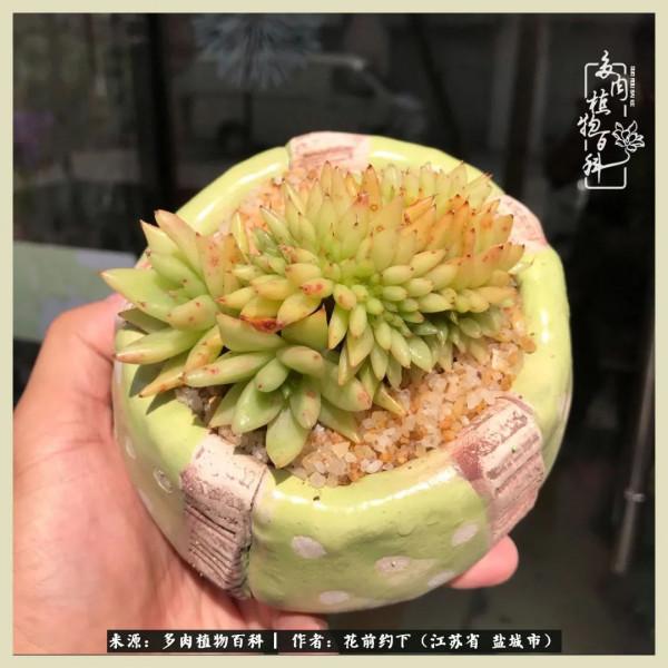 你儘管善良,福報都在路上 你儘管善良,福報都在路上