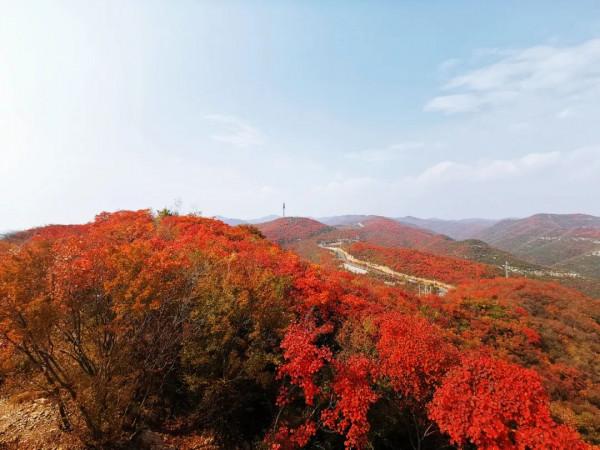 太喜歡秋天啦，帶你看紅葉奇觀